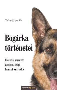 Bogárka Történetei (ebook)