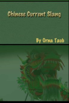 Chinese Current Slang (ebook)