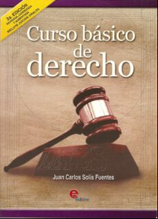 Curso Básico De Derecho (ebook)