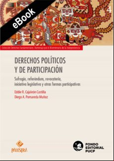 Derechos Políticos Y De Participación (ebook)