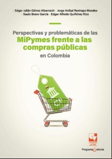 PERSPECTIVAS Y PROBLEMÁTICAS DE LAS MIPYMES FRENTE A LAS COMPRAS PÚBLICAS EN COLOMBIA EBOOK