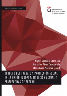 Derecho Del Trabajo Y Protección Social En La Unión Europea: Situación