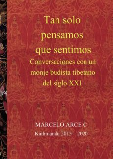 Tan Solo Pensamos Que Sentimos (ebook)