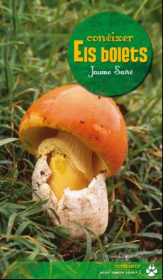 Conèixer Els Bolets (ebook)