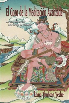 El Gozo De La Meditación Avanzada (ebook)