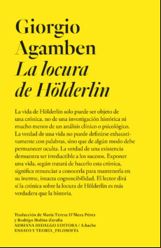 La Locura De Hölderlin