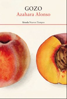 GOZO EBOOK