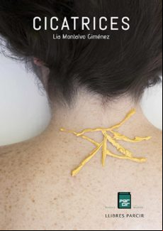 Cicatrices (ebook)