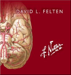 Netter. Flashcards De Neurociencia