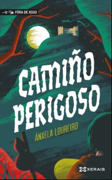 Camiño Perigoso (ebook)