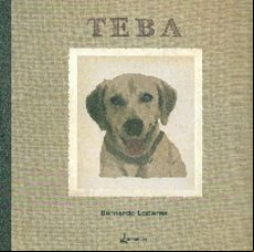 Teba