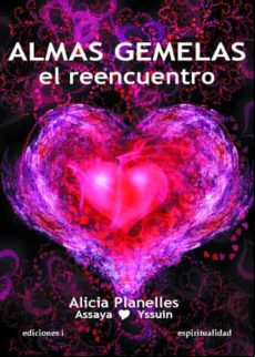 Almas Gemelas El Reencuentro (ebook)
