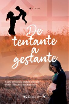 De Tentante A Gestante (ebook)