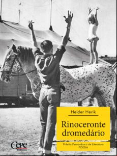 Rinoceronte Dromedário - 2º Prêmio Pernambuco De Literatura (ebook)