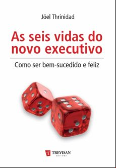 As Seis Vidas Do Novo Executivo - Como Ser Bem-sucedido E Feliz (ebook