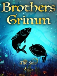 THE SOLE EBOOK (edición en inglés)
