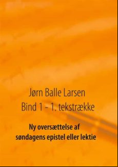 NY OVERSÆTTELSE AF SØNDAGENS EPISTEL ELLER LEKTIE EBOOK (edición en danés)