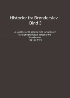 HISTORIER FRA BRØNDERSLEV - BIND 3 EBOOK
