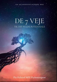 DE 7 VEJE EBOOK