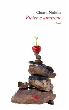 Pietre E Amarene (ebook)