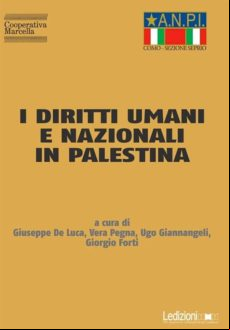 I DIRITTI UMANI E NAZIONALI IN PALESTINA EBOOK (edición en italiano)