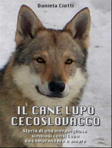 Il Cane Lupo Cecoslovacco - Storia Di Una Meravigliosa Simbiosi Con Il