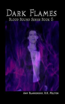 Dark Flames (blood Bound Book 6) (ebook)