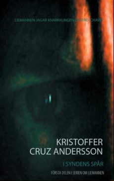 I Syndens Spår (ebook)