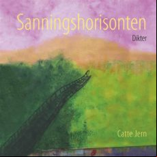 Sanningshorisonten (ebook)