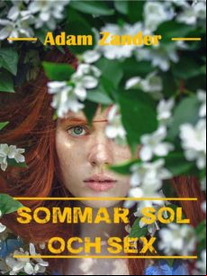 Sommar Sol Och Sex (ebook)