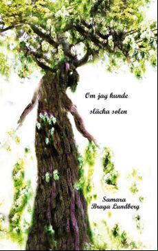 Om Jag Kunde Släcka Solen (ebook)