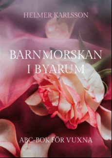 BARNMORSKAN I BYARUM EBOOK