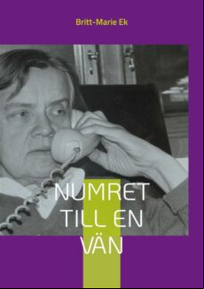 NUMRET TILL EN VÄN EBOOK (edición en sueco)