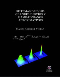 Sistemas De Bose: Grandes Desvíos Y Hamiltonianos Aproximativos (ebook