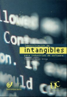 Identificación De Intangibles Para Industrias De Software (ebook)