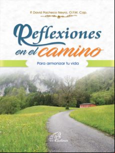 Reflexiones En El Camino (ebook)