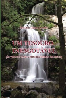 Um Tesouro Inesgotável (ebook)