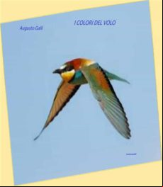 I Colori Del Volo (ebook)