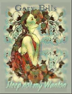 Sleep Not My Wanton (ebook)