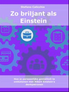 ZO BRILJANT ALS EINSTEIN EBOOK