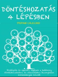 Döntéshozatás 4 Lépésben (ebook)