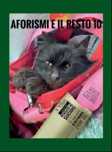 AFORISMI E IL RESTO 10 EBOOK