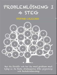 PROBLEMLÖSNING I 4 STEG EBOOK