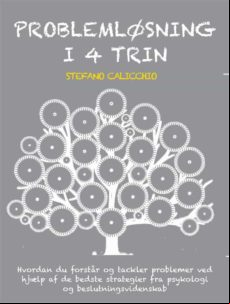 PROBLEMLØSNING I 4 TRIN EBOOK