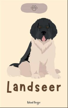 LANDSEER EBOOK (edición en italiano)