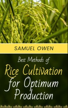 BEST METHODS OF RICE CULTIVATION FOR OPTIMUM PRODUCTION EBOOK (edición en inglés)