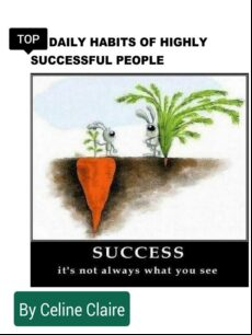TOP DAILY HABITS OF HIGHLY SUCCESSFUL PEOPLE EBOOK (edición en inglés)