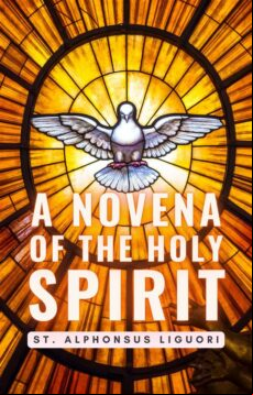 A NOVENA OF THE HOLY SPIRIT EBOOK (edición en inglés)