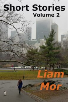 SHORT STORIES VOLUME 2 EBOOK (edición en inglés)