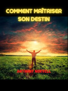COMMENT MAÎTRISER SON DESTIN (TRADUIT) EBOOK (edición en francés)